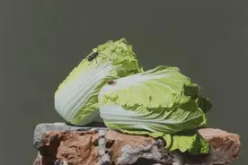 他精心画了两颗白菜，鲜嫩而逼真，专家却被放白菜的半截砖吸引图片