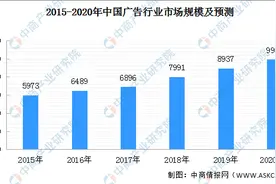 2020年中国广告行业市场前景及投资研究报告图片