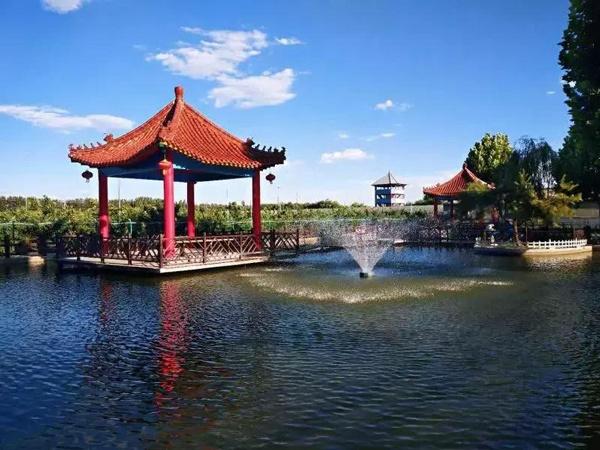 京城暑假去哪玩？这8个地方萌宠多多，萌娃都喜欢！