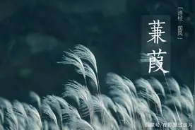 《蒹葭》读了二十年，看完这个解读后，才发现自己完全理解错了图片