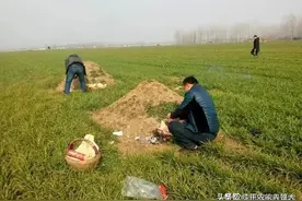 为什么称七月十五是鬼月，又是中元节？图片