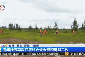 “一旦蚁群吞食诱饵，12个小时后就会出现大面积死亡！”昆明这个社区再次开展红火蚁诱杀工作图片