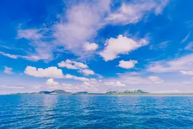 有机硅概念-东岳硅材,新安股份,三孚股份,合盛硅业谁更值得期待？图片