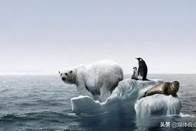 海平面上升的问题图片
