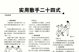 实用散手二十四式图片