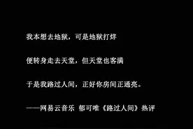 网易云热评：你是经历了多少委屈，才有了那一身好脾气图片