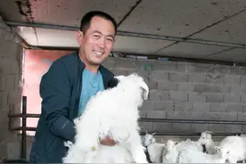【关注】跟随记者逛白碌！合作社里走一遭！图片