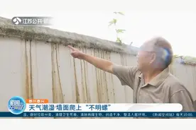 天气潮湿墙面爬上“不明螺”居民担心是钉螺传播血吸虫病图片
