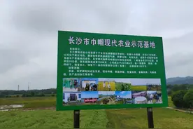 杨蓉：宁乡市东湖塘镇太平桥村的新型职业女农民图片