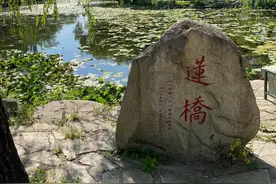 黄四娘家花满蹊，千朵万朵压枝低，春在乱花深处鸟声中图片