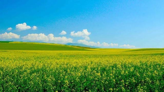 全部的成语！收藏起来，回家教给孩子