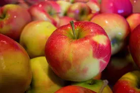 一天一苹果，医生远离我？提醒：吃对才靠谱！奉劝4类人最好慎吃图片