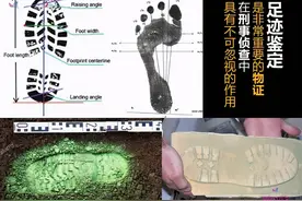 邢立达：游泳像狗刨，偶遇群架就逃跑，没想到你是这样的恐龙图片