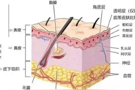 医学科普--每日一药--尤卓尔 (丁酸氢化可的松乳膏图片
