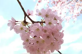 言辞有尽处，敬意无穷时图片
