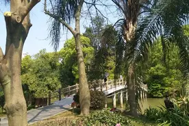 村长与翠花5图片