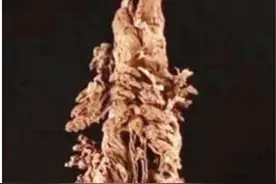 媳妇用三套房换古董遭婆婆怒骂，不服拿去鉴宝，专家：真说实话？图片