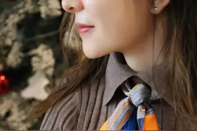 跟着爱马仕，3分钟学会一条丝巾的八种系法图片