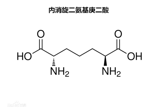 新型冠状病毒78：肽桥，m-DAP（内消旋二氨基庚二酸），干重