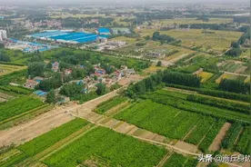 贯穿南北：柘城“东三环”中段，开建了图片