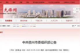 中共宿州市委组织部最新公告图片