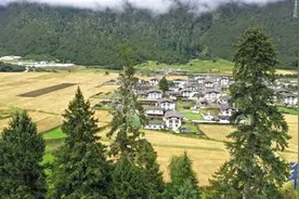 床上能见雪山，牦牛跑进院子……这是鲁朗小镇的最美蝶变记图片