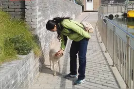 小到泰迪大到藏獒，她都不怕，都和她亲，难道老伴儿是狗托生的？图片