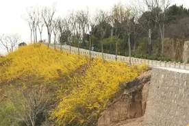 焦作一个只有7户人家的小山村，再不来就看不到原貌了图片