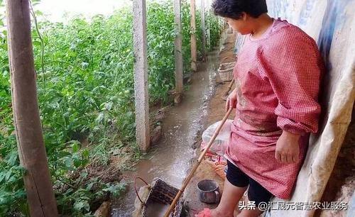 五花八门的冲施肥，你挑对了没有？3步让你不花冤枉钱