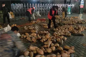 垃圾站倾倒捐赠的萝卜？荆州回应图片