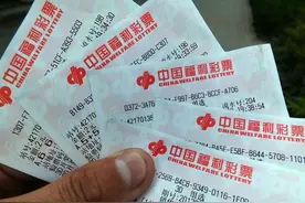 中国的彩票分为几种图片