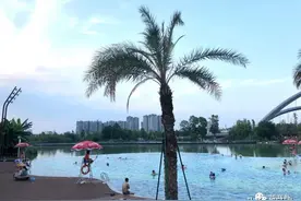 成都南门无边泳池“下饺子”，周围人“跪求”莫推荐了图片