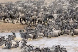 走进非洲，发现原生态的野性之美图片