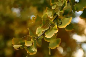 女人把你当成老公了，会有的暗示：三默许图片