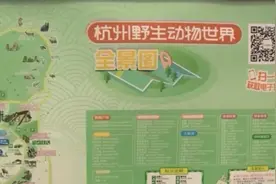 从无到有 隐瞒金钱豹外逃涉事者该承担哪些责任？专家解读→图片