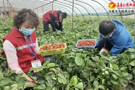 涉农区县多措联动 本地农产品直供乌鲁木齐市场图片