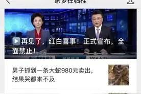桂林又一本地公众号被永久封停图片