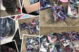 香港高达迷珍藏被家人当垃圾丢掉，重庆女友划艇破窗救男友高达图片