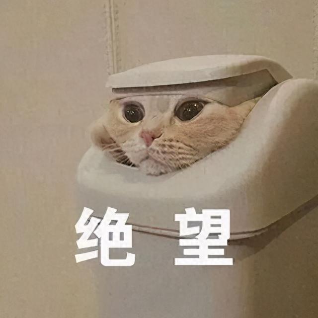 征信报告有逾期利息上浮，征信连累家人吗 配图08
