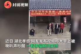 结婚当天丈母娘拉横幅祝女婿好运：此女只两样不会，这也不会那也不会图片
