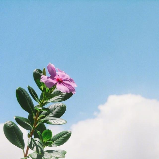 ůĵ簲¼ɾϲľ䣿