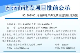 新增15栋小高层！江宁禄口下关城开G01、碧桂园G02地块规划出炉图片