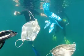 下潜到1万多米的海底，科学家发现了不该发现的东西：塑料垃圾图片