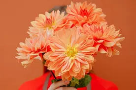 钱借出去了，就不要催着还图片