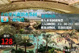 莫干山开元森泊夜场票水乐园+萌宠动物园+芙洛拉花园！盛大开启图片