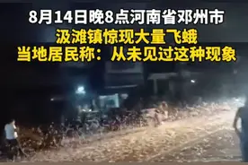 河南邓州蜉蝣大爆发，居民说从未见过这种奇观，天气又要大变了？图片