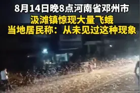 河南邓州蜉蝣大爆发，居民说从未见过这种奇观，天气又要大变了？图片
