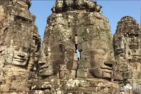 读蒋勋的《舍得舍不得》图片