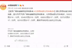 受京广高铁接触网挂异物影响 北京西站部分列车晚点图片