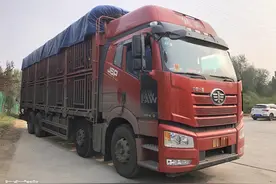 活猪运输曾月入8万不是梦，如今怎么样？司机：勉强维持生计图片